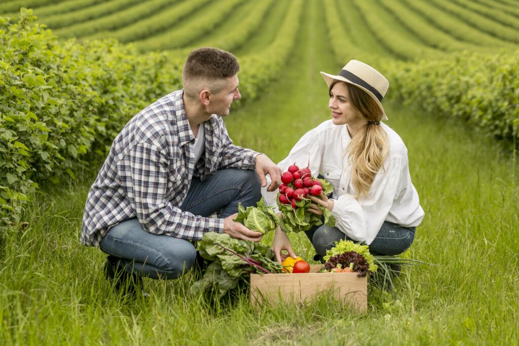 couple-with-basket-vegetables