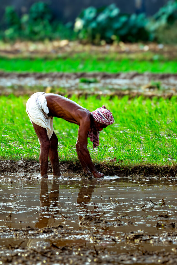 swarndhwaj-what-we-do