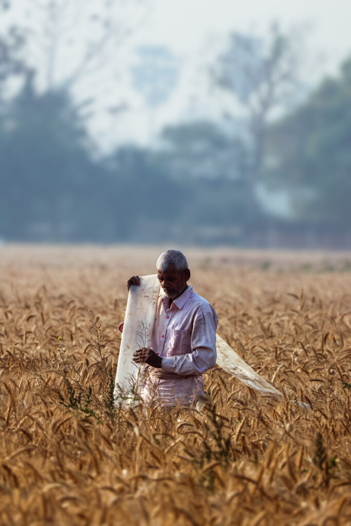 swarndhwaj-agriculture-quality