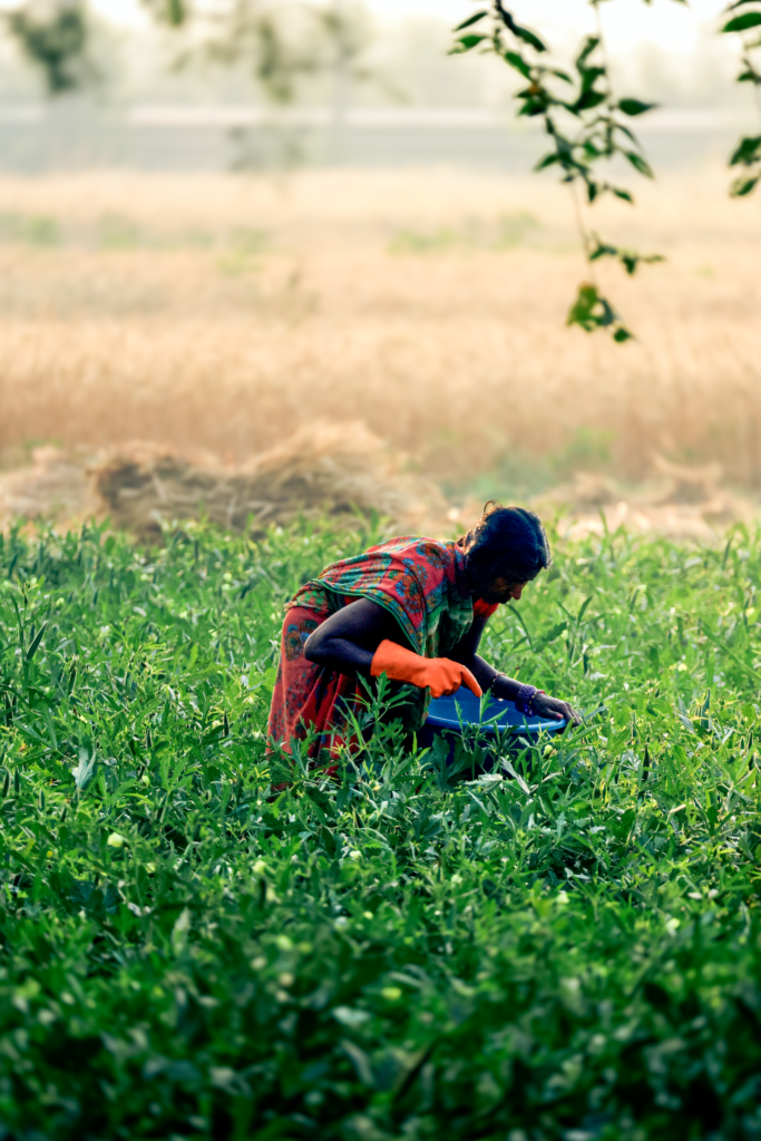 quality-of-swarndhwaj